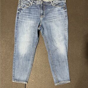 Silver Jeans Co. Suki Skinny Crop Jeans – Size 22W, L26